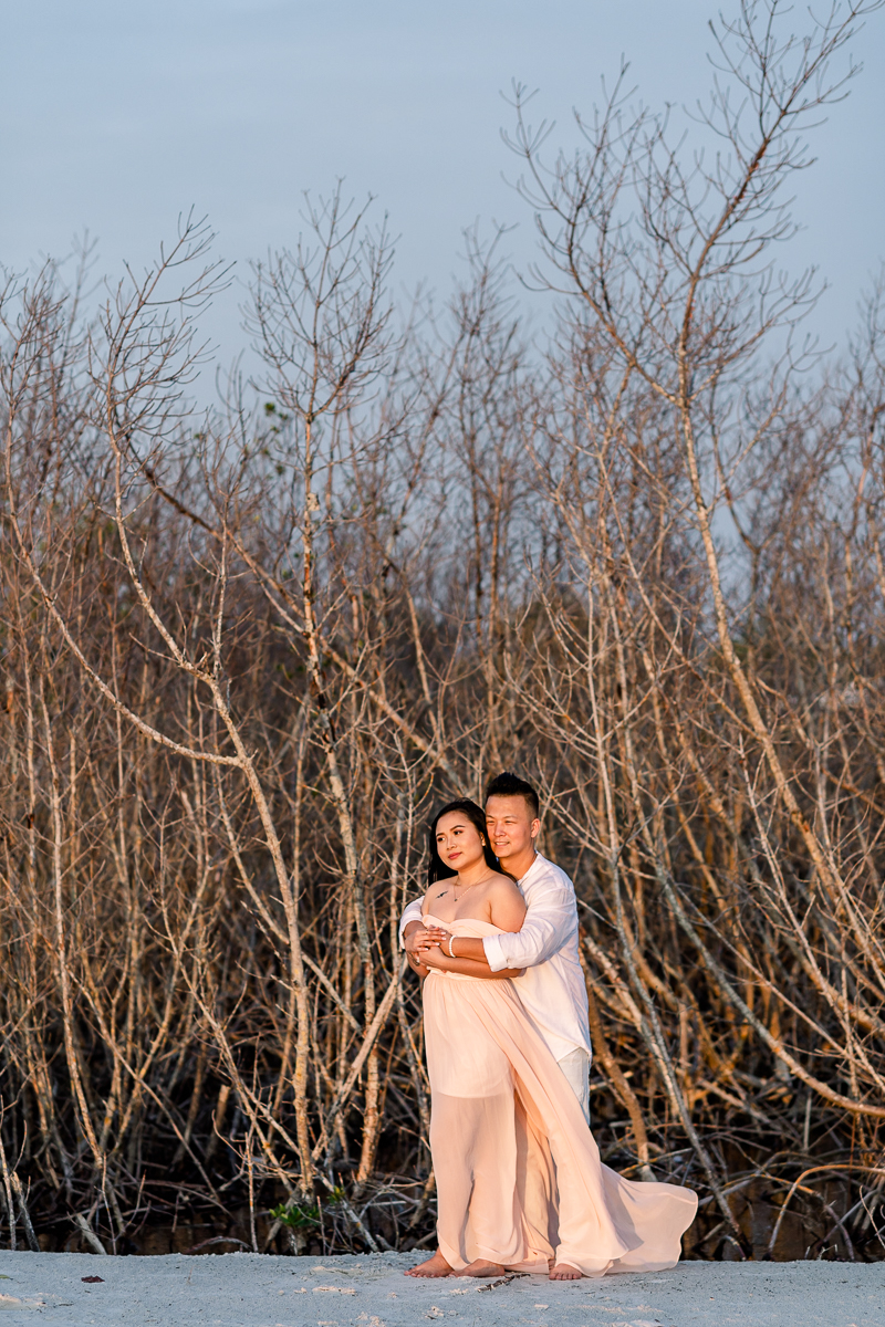 Driftwood engagement photos in St. Pete