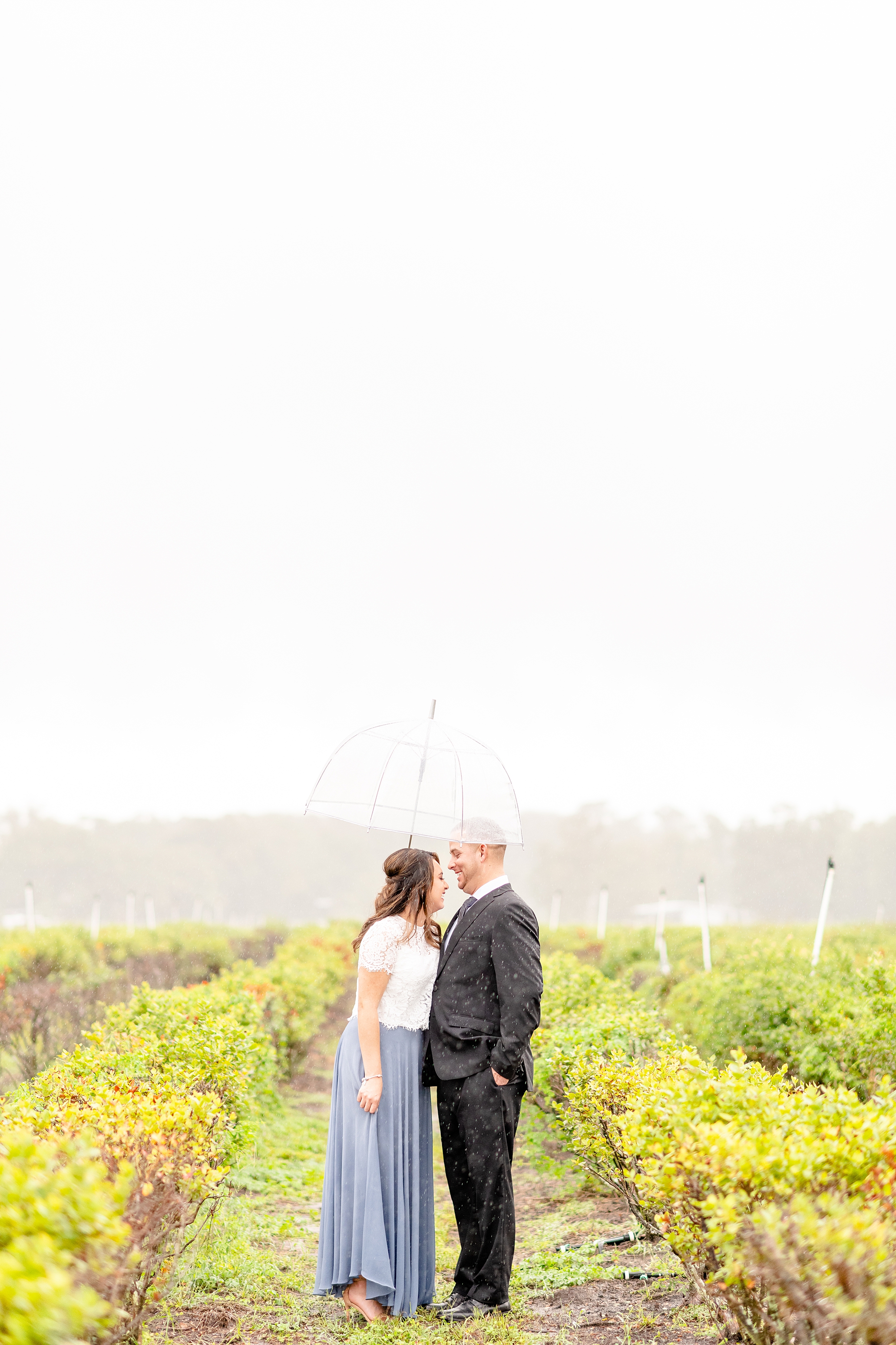 Vineyard Engagement Session | Wedding Photographer